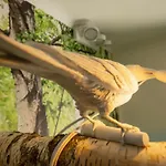 Lk43-lodging City-apartments, Kontaktlos Mit Self Check-in Апартаменти *